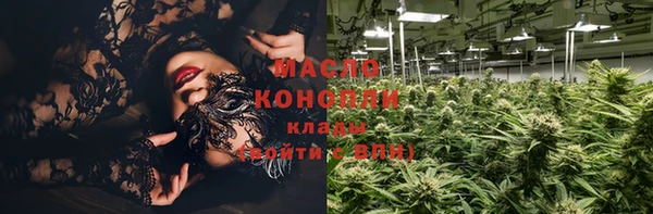 дмт Елабуга