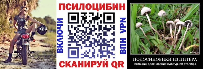 Галлюциногенные грибы MAGIC MUSHROOMS  МЕГА маркетплейс  Спасск 